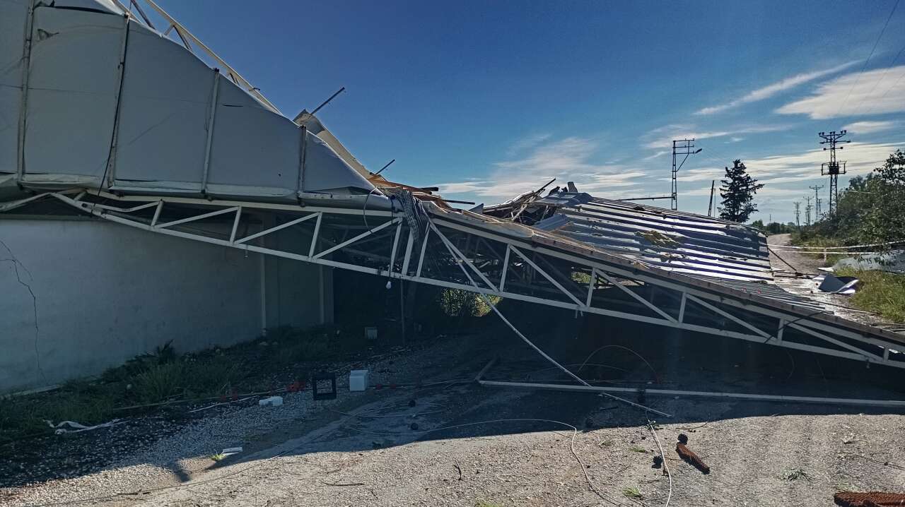 Tavuk çiftliği talan oldu, 20 bin civciv öldü 2